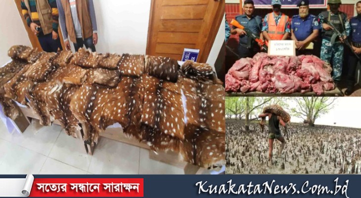 সুন্দরবনে একমাসে ১২ মণ হরিণের মাংস সহ ৯ হরিণ শিকারী আটক