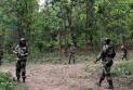 ভারতীয় বাহিনীর সঙ্গে বন্দুকযুদ্ধে অন্তত ৬ জন নিহত