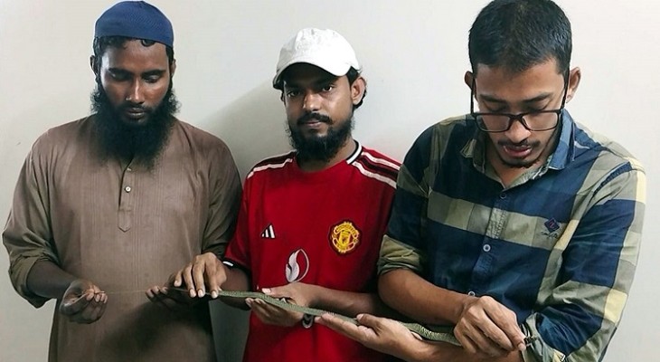 কলাপাড়ায় প্রথামারেরমত সাপের এক্সরে