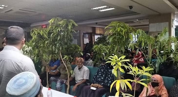 জুলাই পুনর্জাগরণ ও তারুণ্যের উৎসব উপলক্ষে কলাপাড়ায় চারা বিতরণ