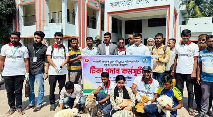 কলাপাড়ায় ৫ শতাধিক বেওয়ারিশ কুকুর ও বিড়ালকে টিকা প্রদান