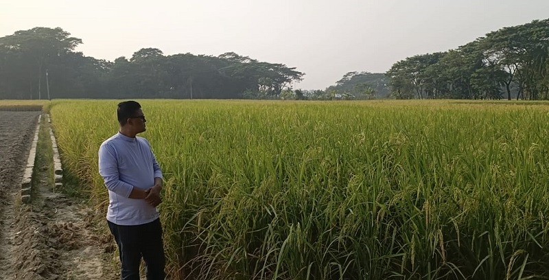 গলাচিপায় সংখ্যালঘু পরিবারের পৈত্রিক ও কবলাকৃত সম্পত্তির ধান জোর দখল করার চেষ্টা