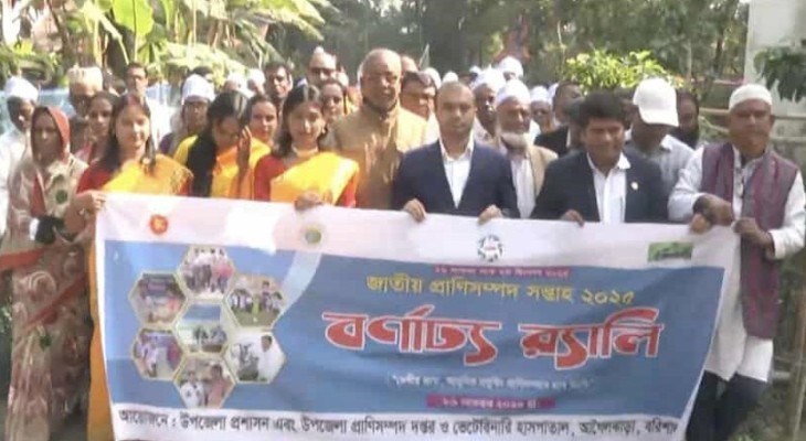 আগৈলঝাড়ায় জাতীয় প্রাণীসম্পদ সপ্তাহ উপলক্ষে  র‌্যালী ও আলোচনা সভা