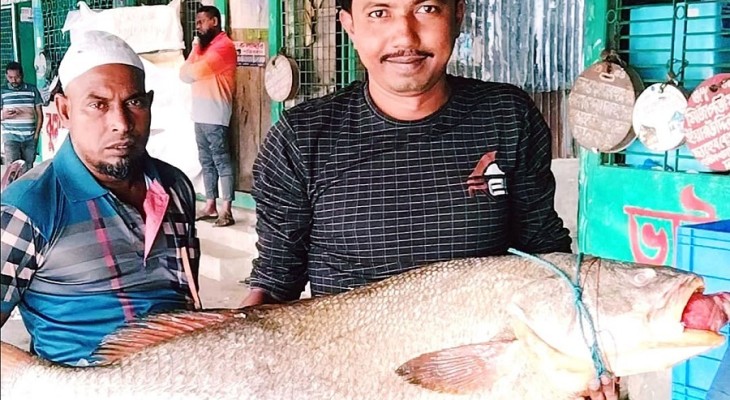জেলের জালে ধরা পড়েছে ৩৭ কেজি ওজনের ‘কালো পোয়া’