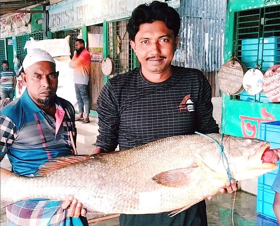 জেলের জালে ধরা পড়েছে ৩৭ কেজি ওজনের ‘কালো পোয়া’
