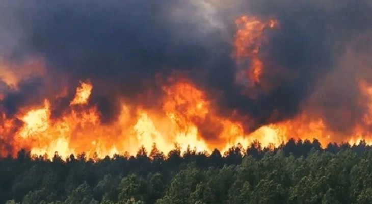 ব্যাপক খরার মধ্যেই ৭ দিন ধরে দাবানলে পুড়ছে ইরান