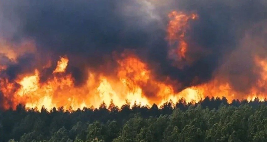 ব্যাপক খরার মধ্যেই ৭ দিন ধরে দাবানলে পুড়ছে ইরান