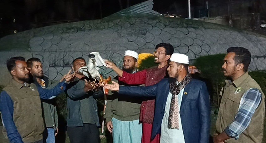 মুরগির দোকান থেকে উদ্ধার হওয়া নিশি বক অবমুক্ত