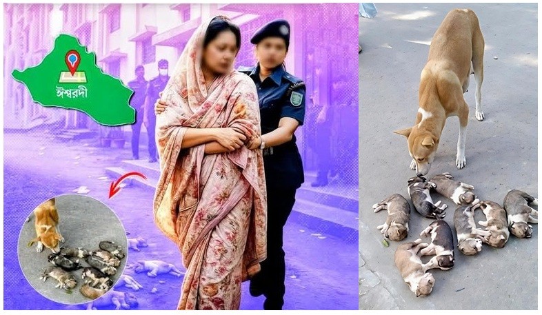 পাবনায় কুকুরের আট ছানা হত্যা, অভিযুক্ত নারীকে সরকারি বাসা ছাড়ার নির্দেশ