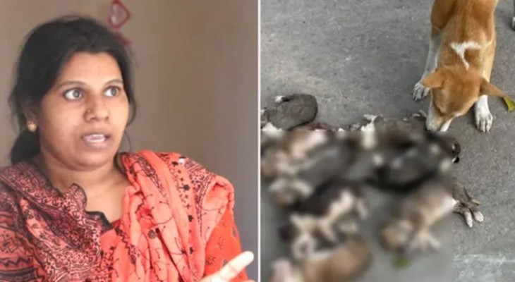 পানিতে চুবিয়ে ৮টি কুকুরছানা হত্যার ঘটনায় অভিযুক্ত নিশি খাতুন গ্রেপ্তার