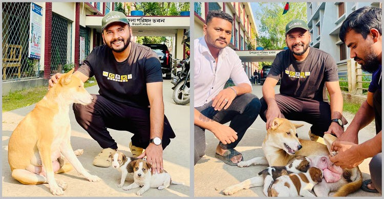 ঈশ্বরদীর সন্তানহারা কুকুরটিকে দেওয়া হয়েছে নতুন দুটি ছানা
