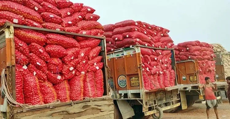 বাংলাদেশে পেঁয়াজ বেচতে না পেরে ভারতের ক্ষতি ১১ শ’ কোটি রুপি