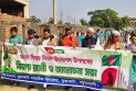 কুয়াকাটায় মহান বিজয় দিবসে র‍্যালি ও আলোচনা সভা 