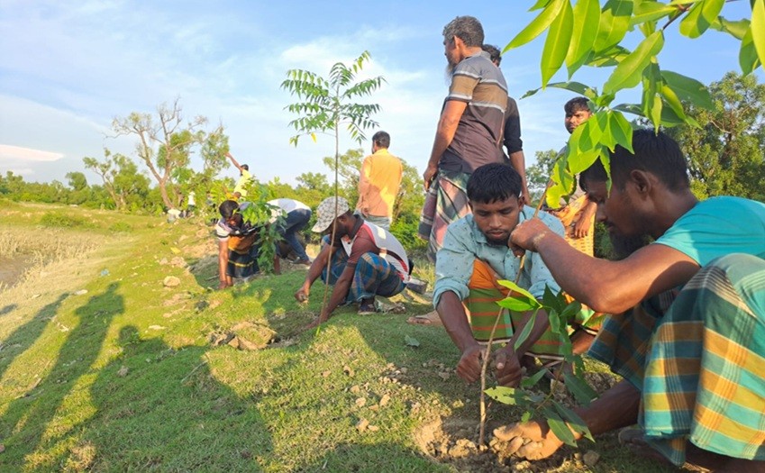 সাগর পাড়ের গঙ্গামতি দুই শতাধিক গাছের চারা রোপণ