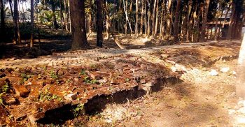 রাজাপুরের পশ্চিম ইন্দ্রপাশা-ভূমিহীন-গুচ্ছগ্রাম ইটের সড়কটি ২ যুগেও সংষ্কার হয়নি, সীমাহীন দুর্ভোগ