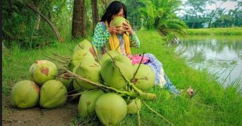 টানা ৭ দিন ডাবের পানি খেলে কী হবে জানেন?