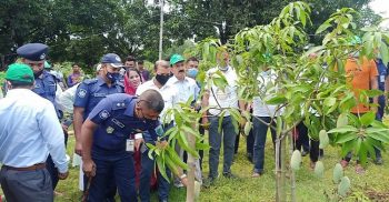 সাপাহারে আমচাষী ও বিপননকারীদের সাথে মতবিনিময় এবং আম সংগ্রহের শুভ উদ্বোধন