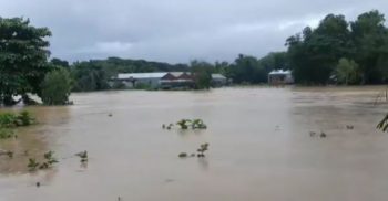 কয়েকদিনের ভারি বৃষ্টিতে গাইবান্ধার সবকটি নদ-নদীর পানি বাড়ছে