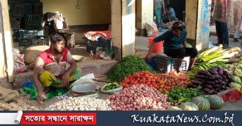 কলাপাড়ায় লেবু-শশা, কলা-বেগুনের মূল্য অস্বাভাবিক বৃদ্ধি